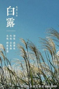 <b>露從今夜白，夜自此日涼！</b>